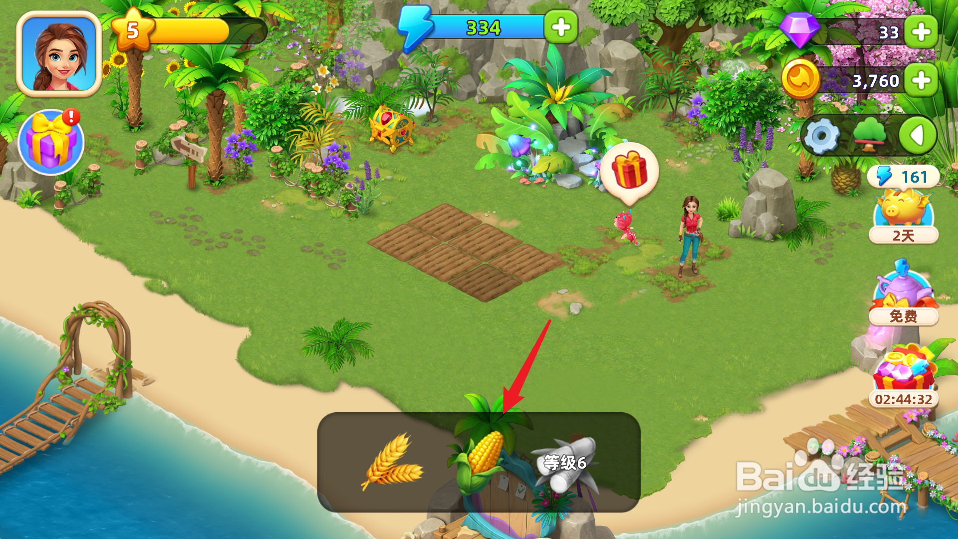 飞龙岛历险记怎么种田