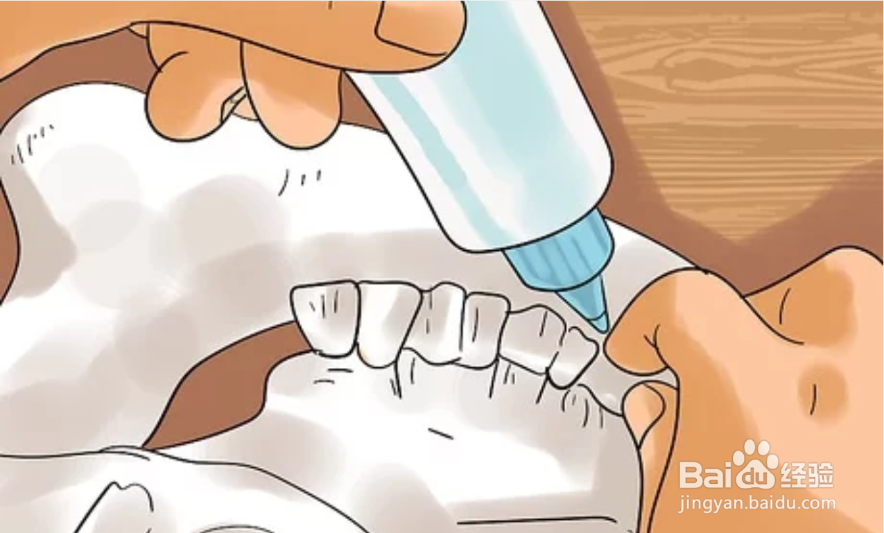 如何保存动物标本