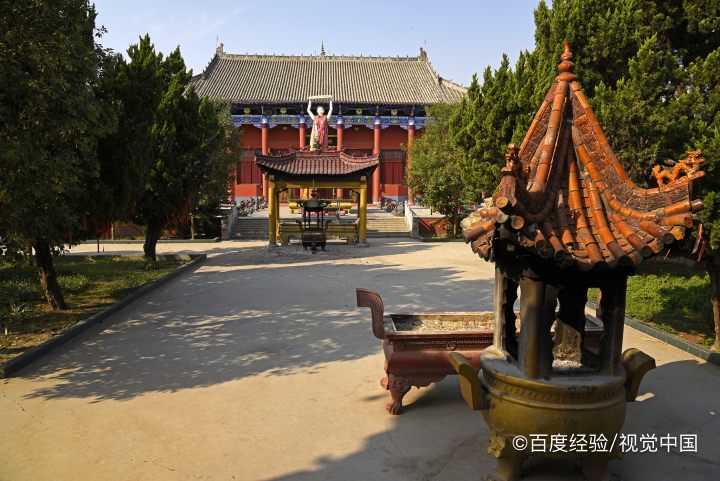 周口野生动物园开车进去怎么收费