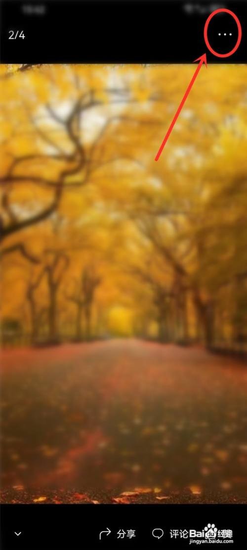 今日头条极速版app里面的动态图片如何保存？