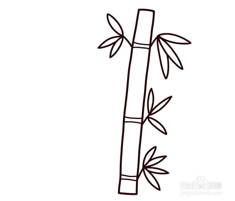 怎么画竹子的简笔画