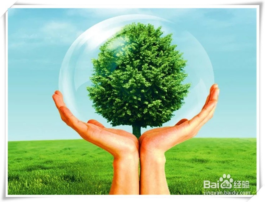 私家车在高速公路上受损怎样索赔