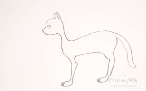 如何画侧身站立的猫