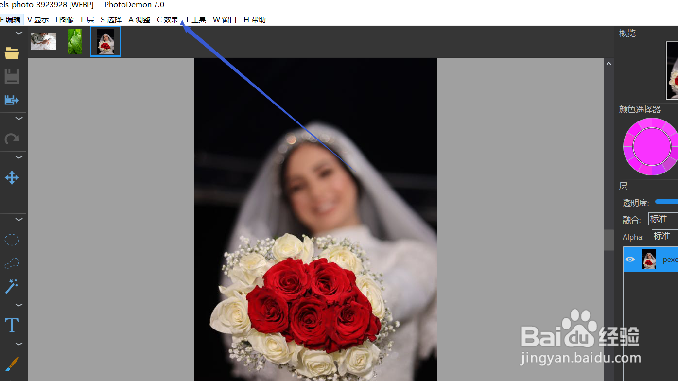 如何使用photodemon的方块模糊功能