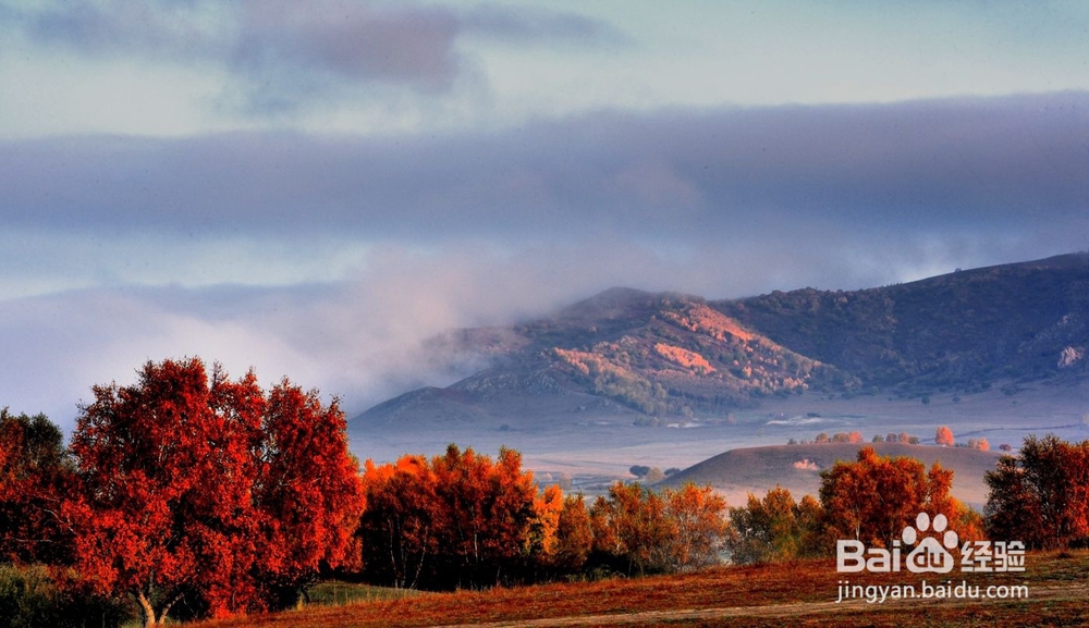 国庆十一塞罕坝旅游攻略