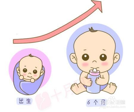 宝宝什么时候该添加辅食?