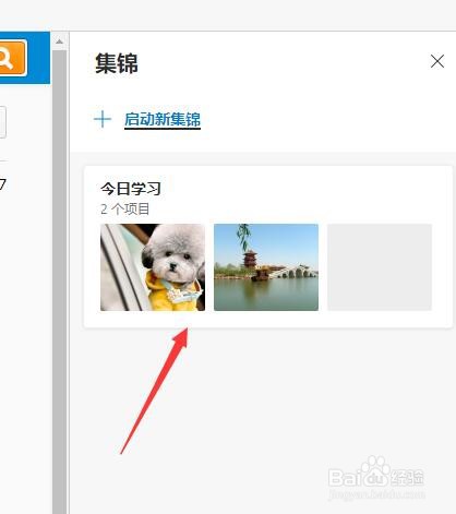 Microsoft edge集锦里的内容怎么导出为excel