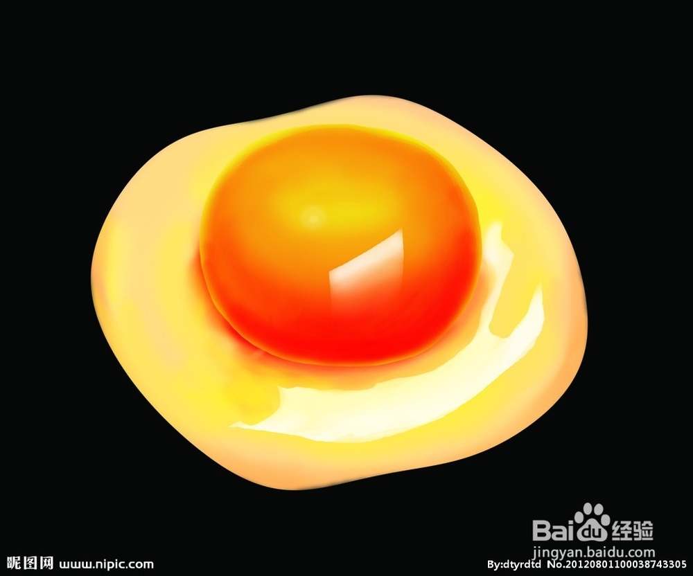 蛋清和蛋黄哪个更营养