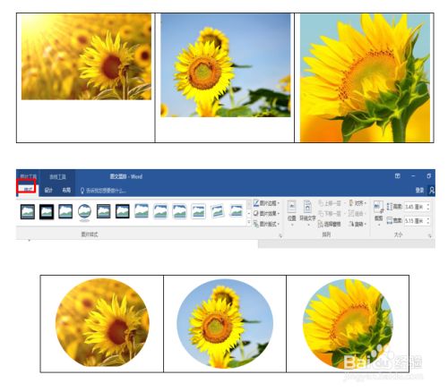 如何运用word进行图片的快速整齐排列