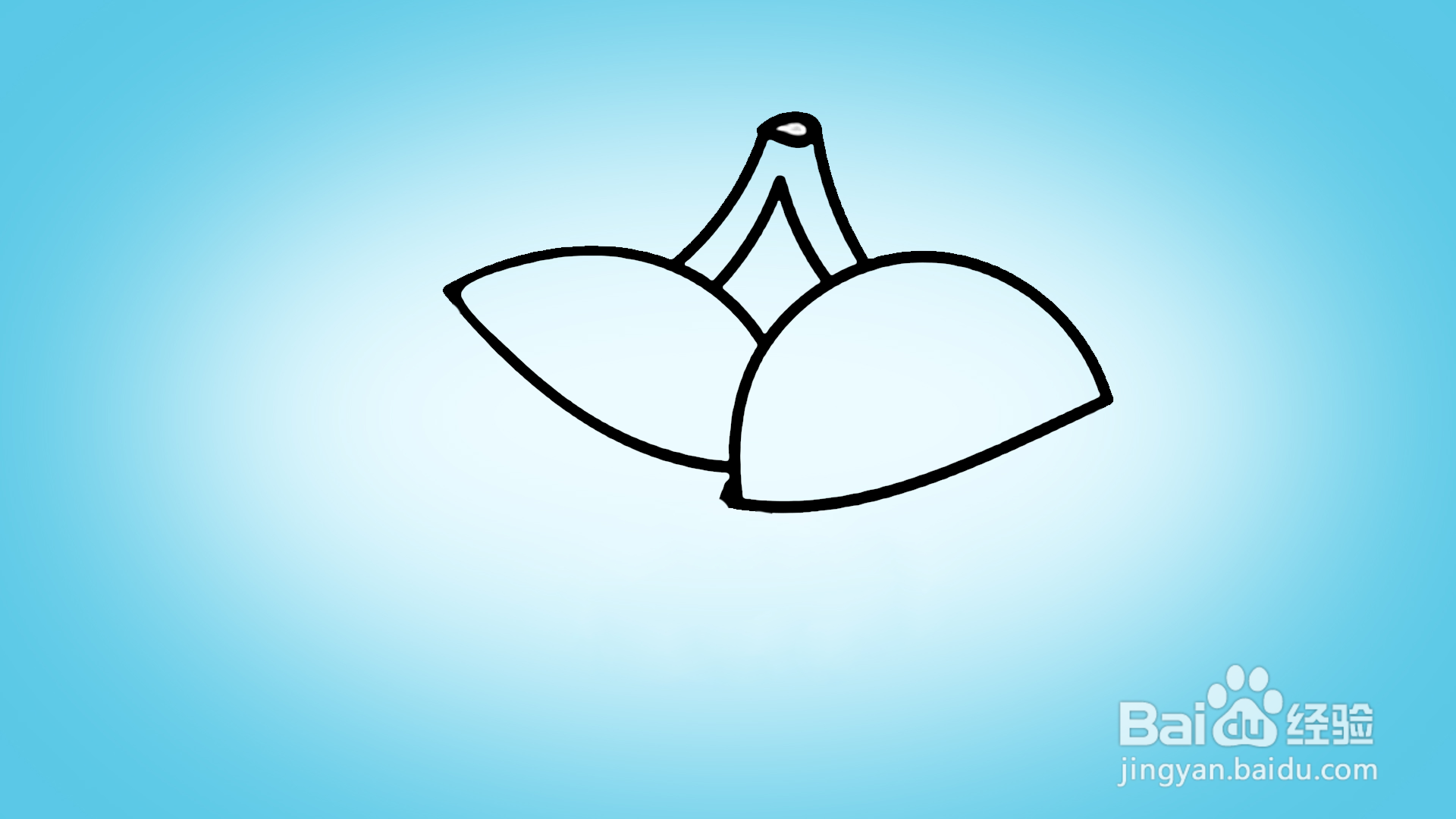 如何画卡通坚果