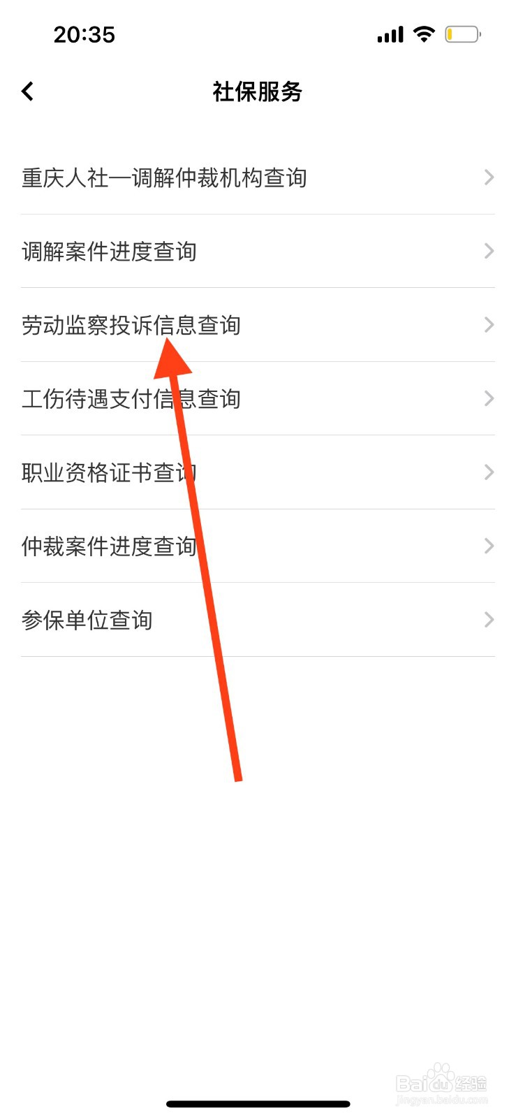 重庆市政府（渝快办）劳动监察投诉信息如何查询