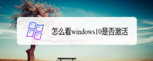 怎么看windows10是否激活