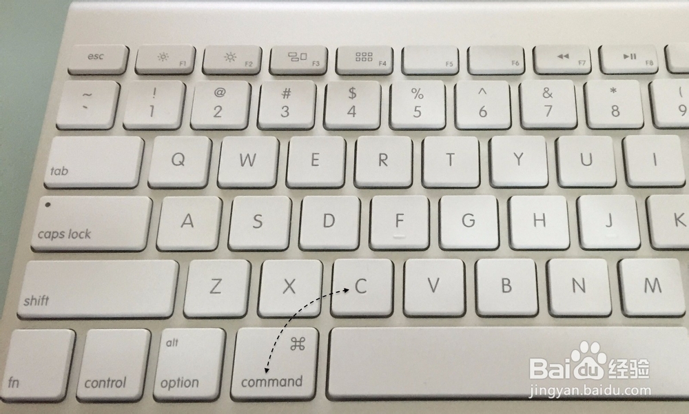 苹果电脑怎么复制粘贴?