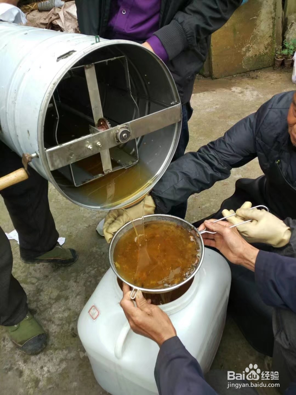 蜜蜂养殖步骤