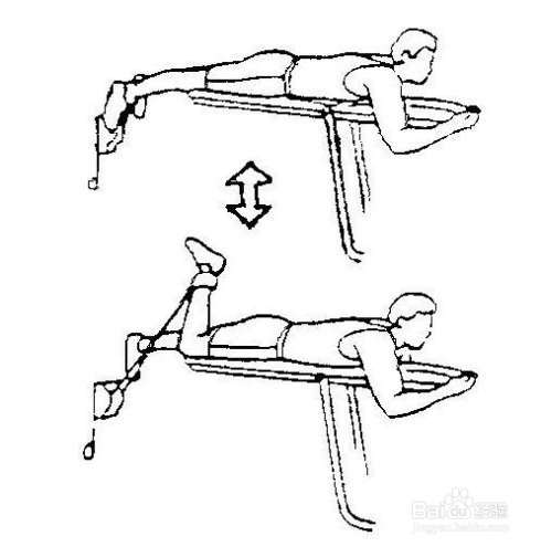 膝关节小腿部分的运动损伤恢复性练习