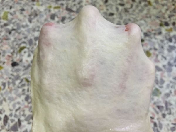 奥尔良鸡腿肉披萨