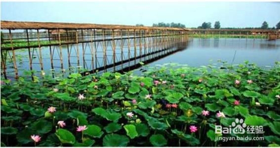 洪湖附近旅游攻略
