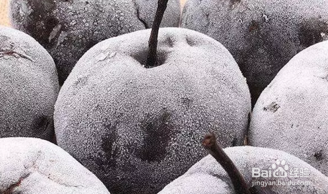 什么水果可以冷冻保存