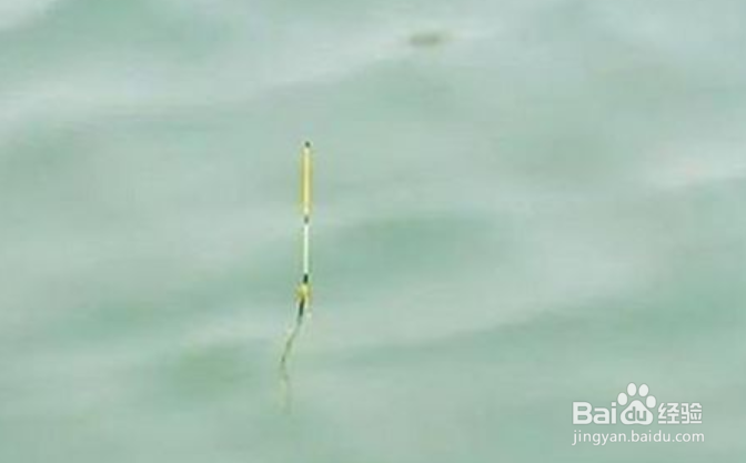 钓鱼浮漂为什么是歪的?为什么总是走漂?