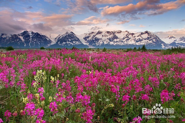 新手卖家店铺流量提高的几个小方法