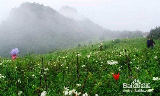 保定旅游景点攻略