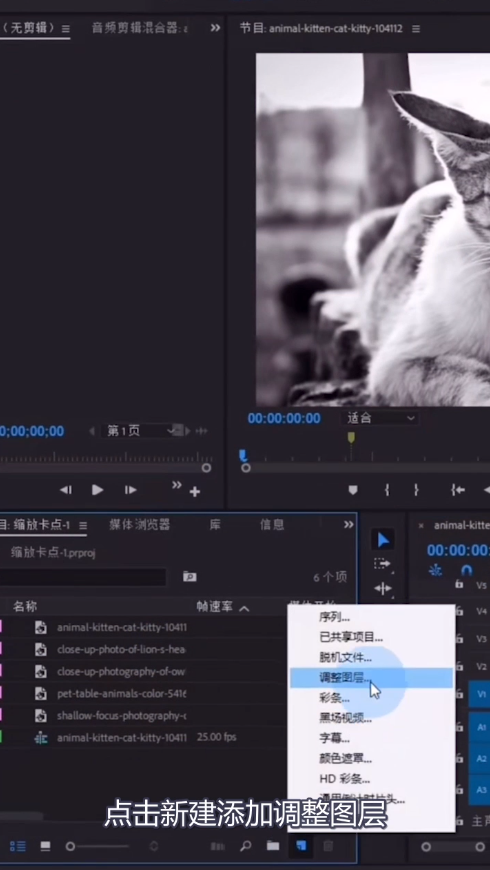 教你pr制作缩放卡点效果