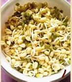 12道节后减脂小菜—缤纷炒豆芽