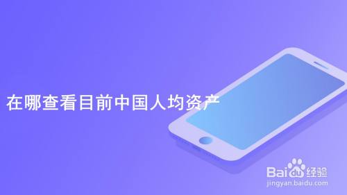 在哪查看目前中国人均资产