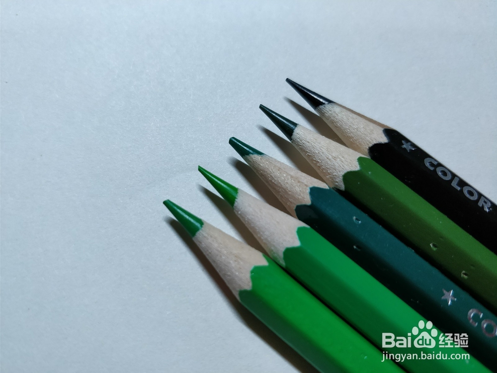 简笔画画卡通仙人掌