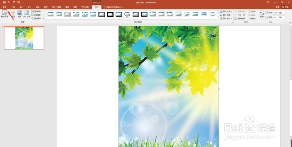 怎么把图片转换成pdf格式