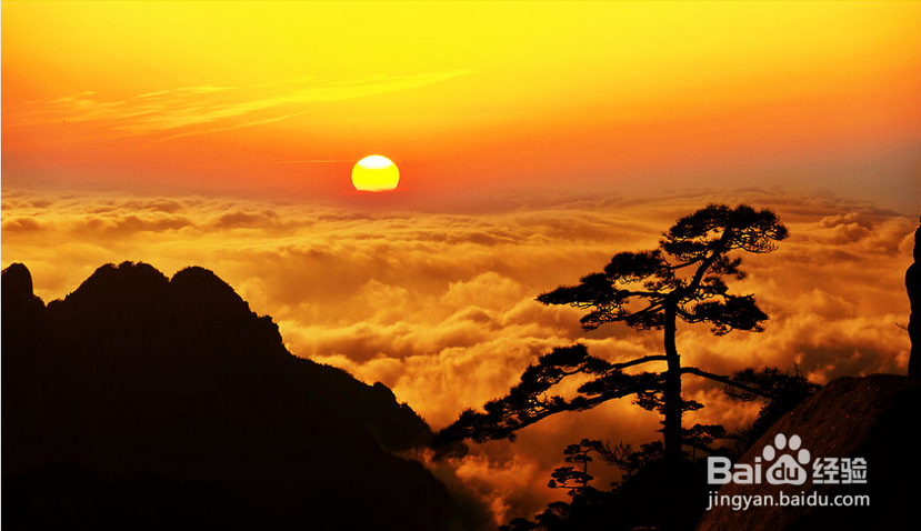 旅游前做好什么准备