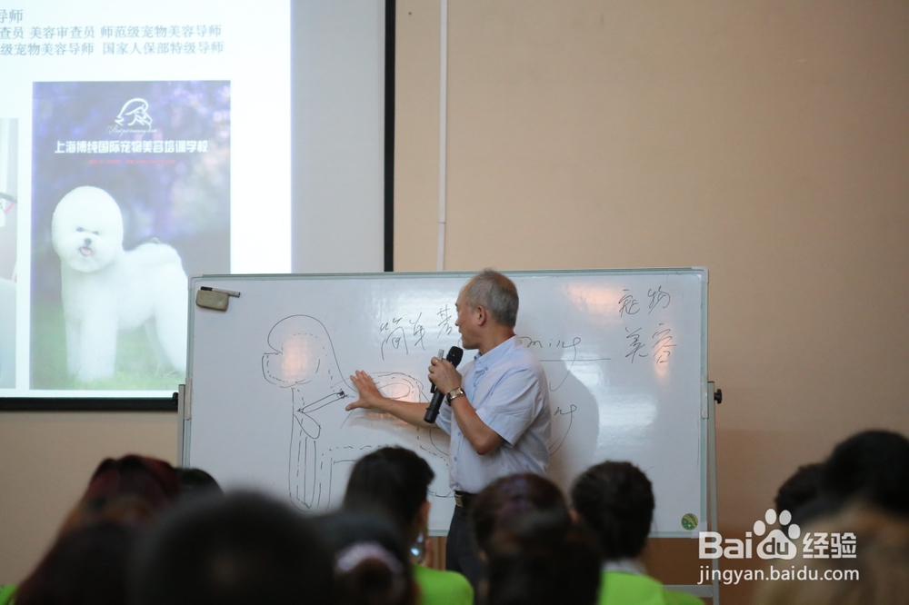 宠物美容师月薪多少