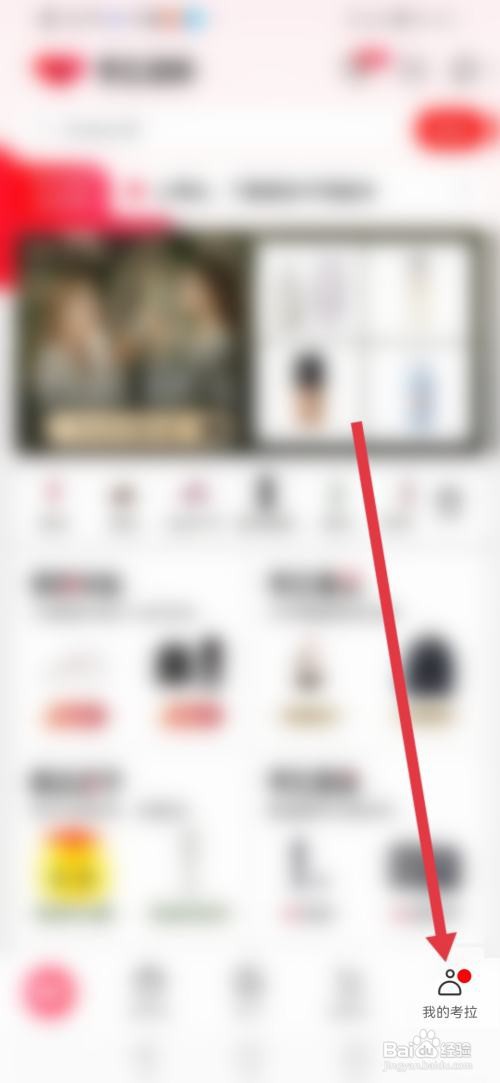 怎么查看考拉海购的证照信息