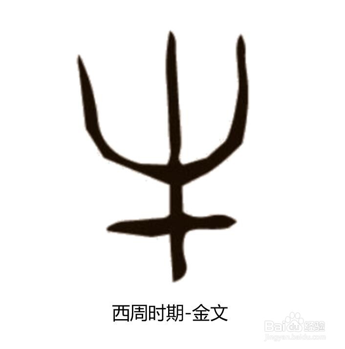 牛字是怎么由来的