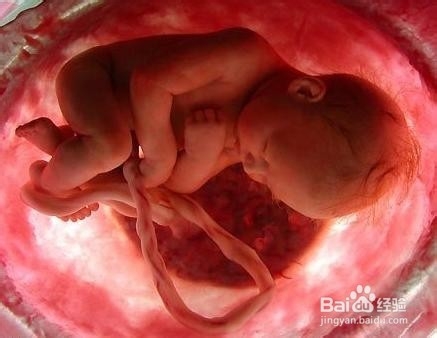 怎样提高孩子的学习成绩