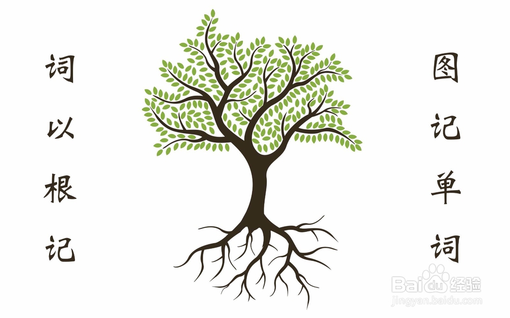 如何背英语字典