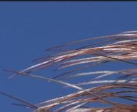 家庭主妇教你几个小妙招W