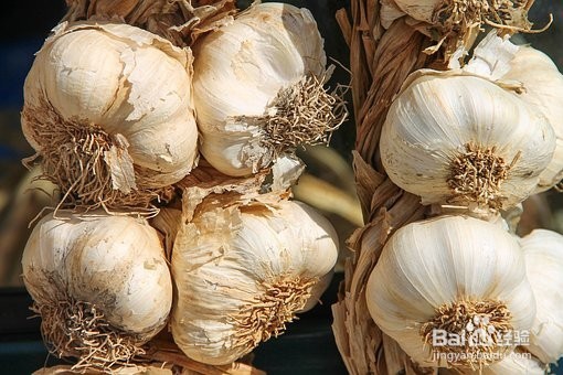 大蒜对身体有什么好处，与什么食物相克？