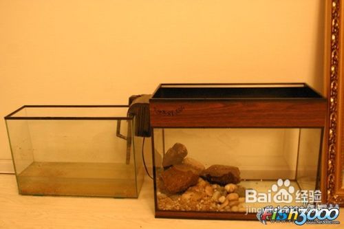 自制养龟实用鱼缸的方法