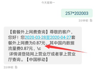 中国移动如何短信查询套餐外上网费