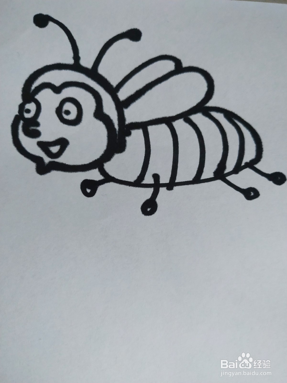 蜜蜂的简笔画技法5