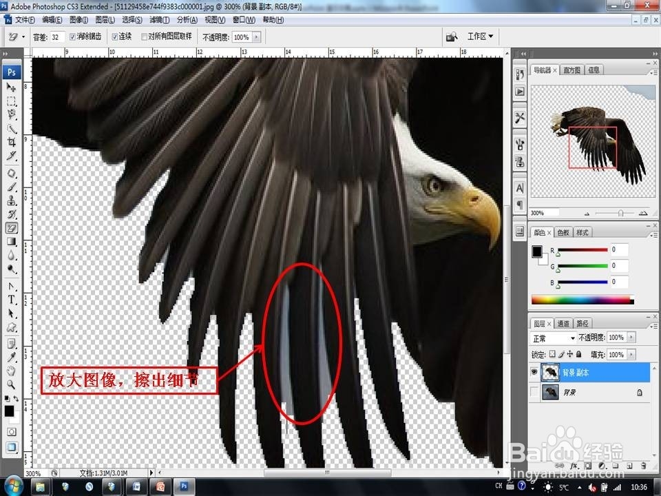Photoshop CS3抠图技巧：[1]“魔法橡皮擦”