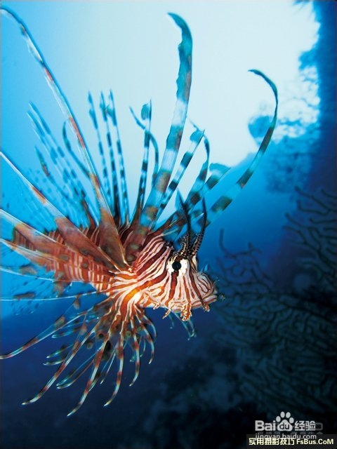 夏天海景拍摄技巧
