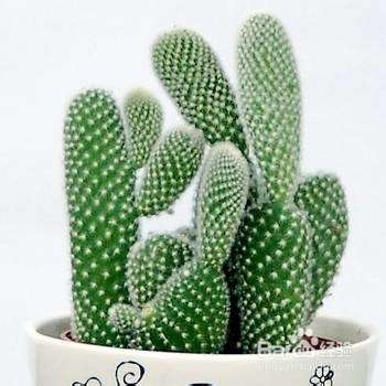 快速祛痘诀窍：让生活更健康！