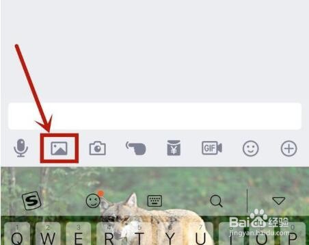 手机QQ如何发原图？