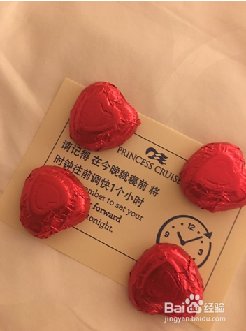 游记:公主邮轮畅游澳新,观世界、享生活