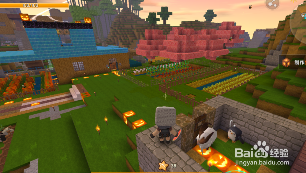 迷你世界胡萝卜怎么种