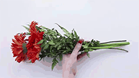 如何包装鲜花？