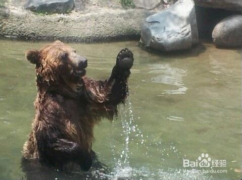 爱宝乐园旅游攻略