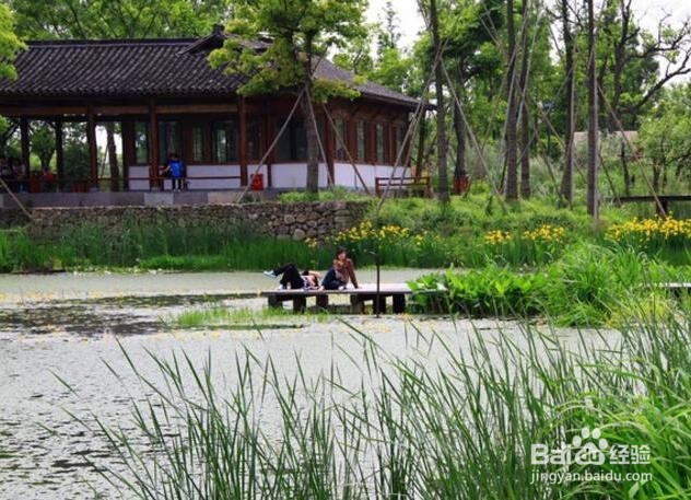 西溪湿地旅游攻略